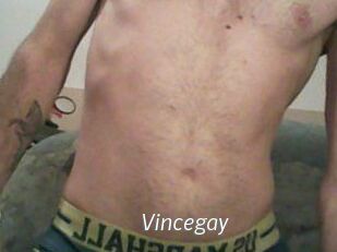 Vincegay
