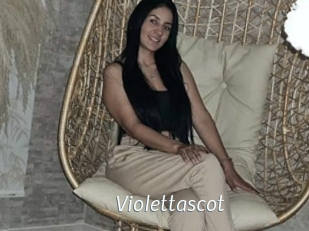 Violettascot