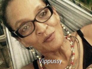 Vippussy