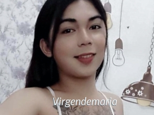 Virgendemaria
