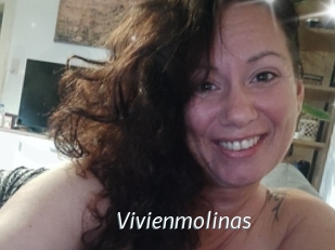 Vivienmolinas