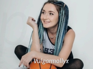 Vulgarmollyx