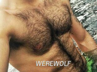 WEREWOLF