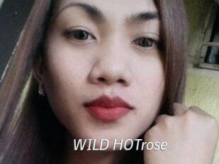 WILD_HOTrose