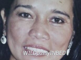 WILDpussyINBED