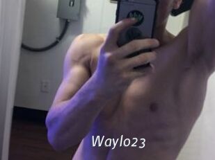 Waylo23