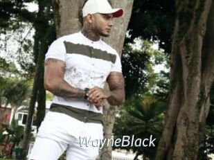 WayneBlack