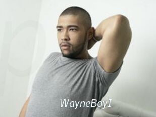 WayneBoyI