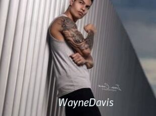 WayneDavis