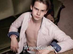WayneGallager