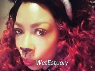WetEstuary