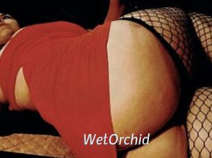 WetOrchid