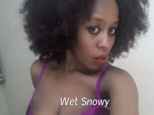 Wet_Snowy