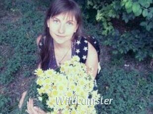 Wildcumster