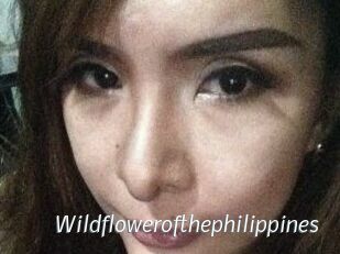 Wildflowerofthephilippines