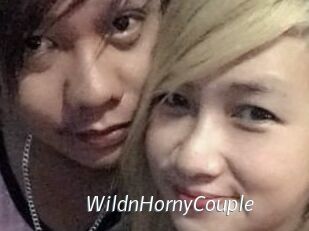 WildnHornyCouple