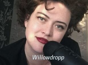Willowdropp