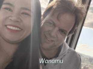 Wanamu