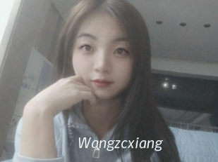 Wangzcxiang