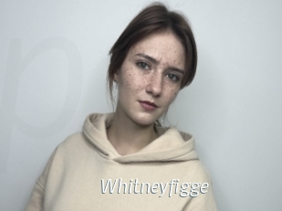 Whitneyfigge