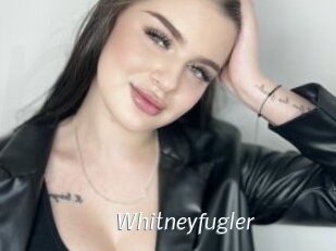 Whitneyfugler