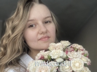 Wildacaudell