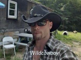 Wildcowboy
