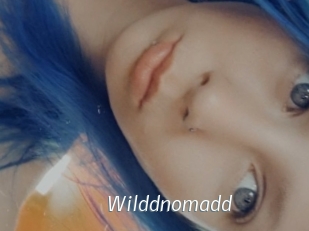 Wilddnomadd