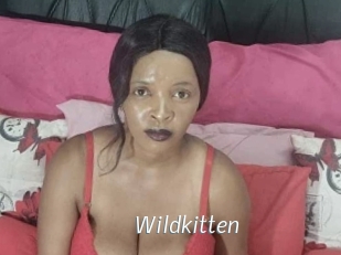 Wildkitten