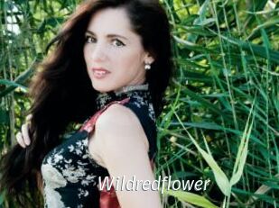Wildredflower