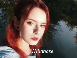 Willahase
