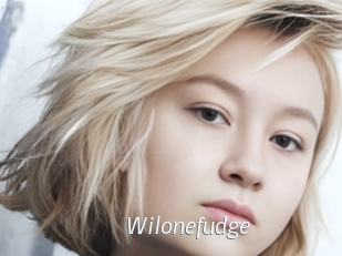 Wilonefudge