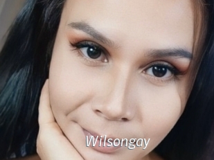 wilsongay Porn Star