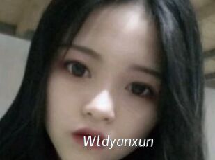 Wtdyanxun