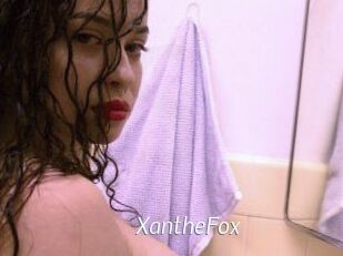 Xanthe_Fox