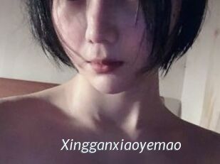 Xingganxiaoyemao