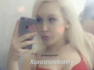 Xoxosnowbunny