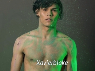 xavierblake Porn Star