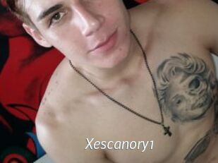 Xescanory1