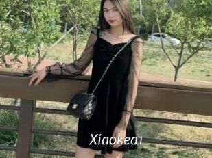 Xiaokea1