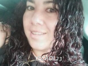 YECAOL23