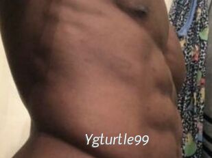 Ygturtle99