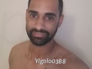 Yigolo0388