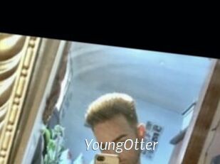 YoungOtter