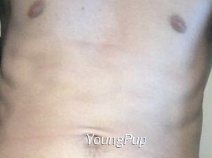 YoungPup