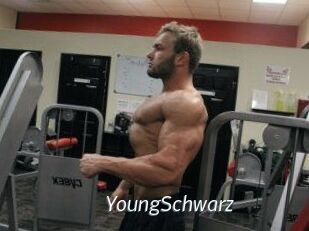 YoungSchwarz