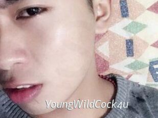 YoungWildCock4u