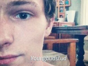 Youngbudstud