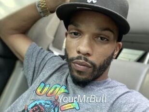 YourMrBull