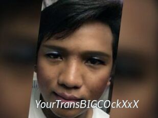 YourTransBIGCOckXxX